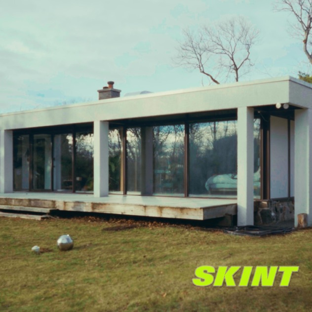 The Dead Bolts — Skint cover artwork
