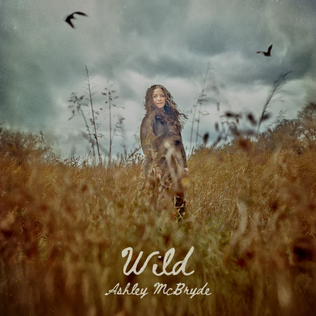 Ashley McBryde Wild cover artwork
