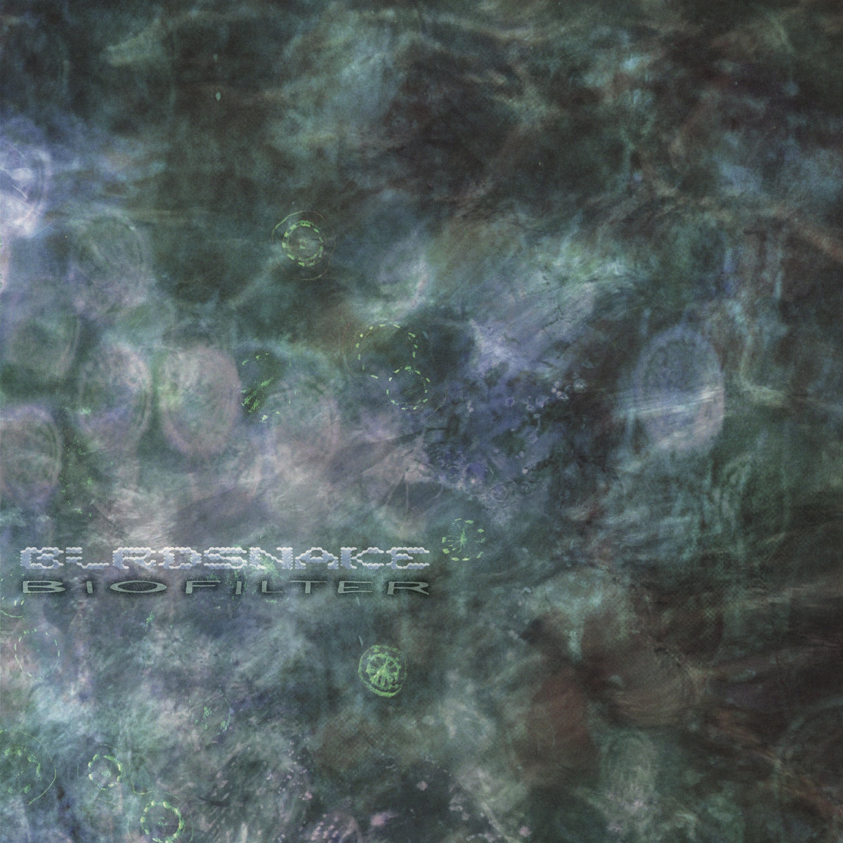 Birdsnake — Biofilter cover artwork