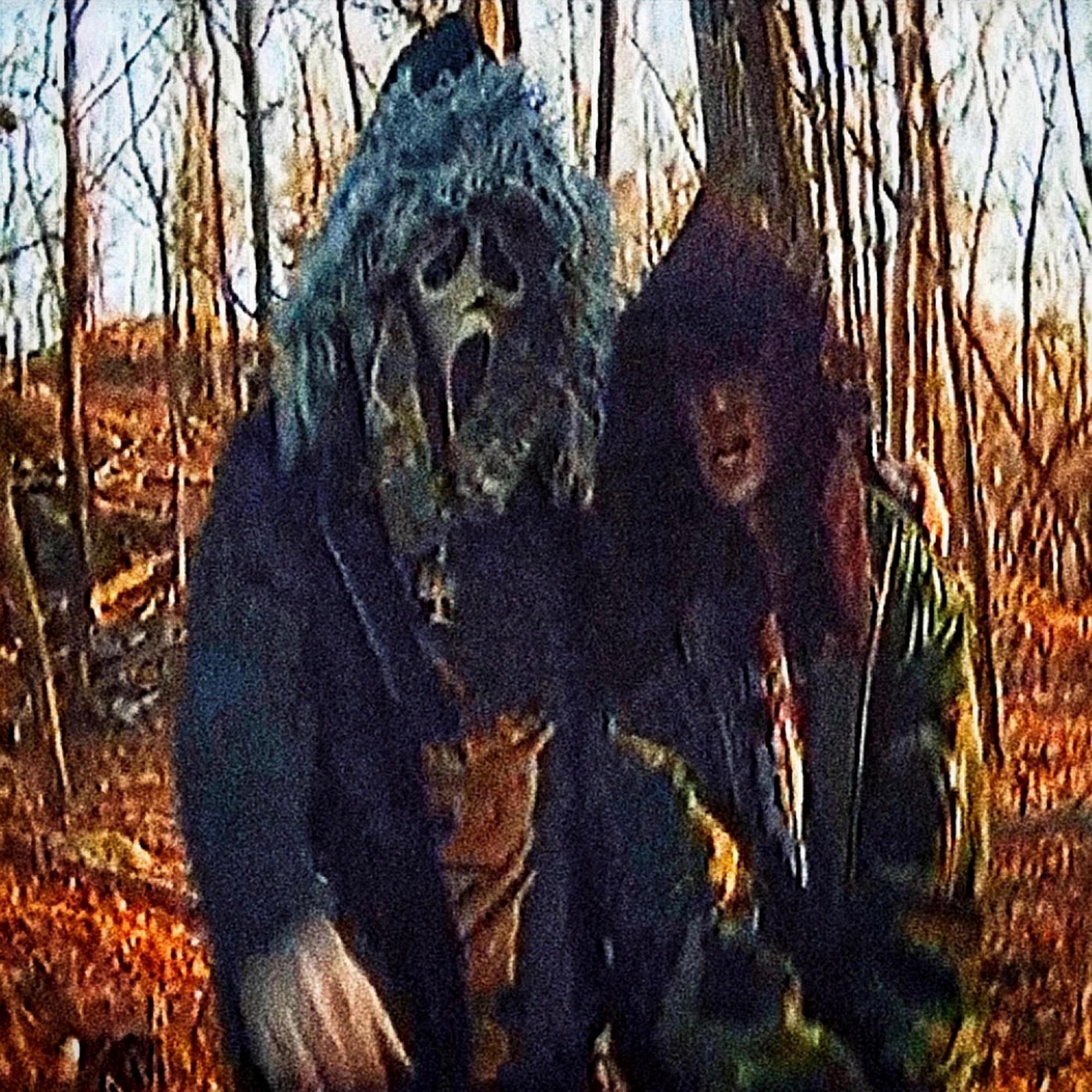 Ghost Mountain & Sematary — Dyer Lane cover artwork