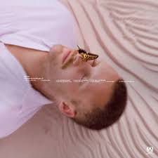 220 KID Yellow Butterflies cover artwork