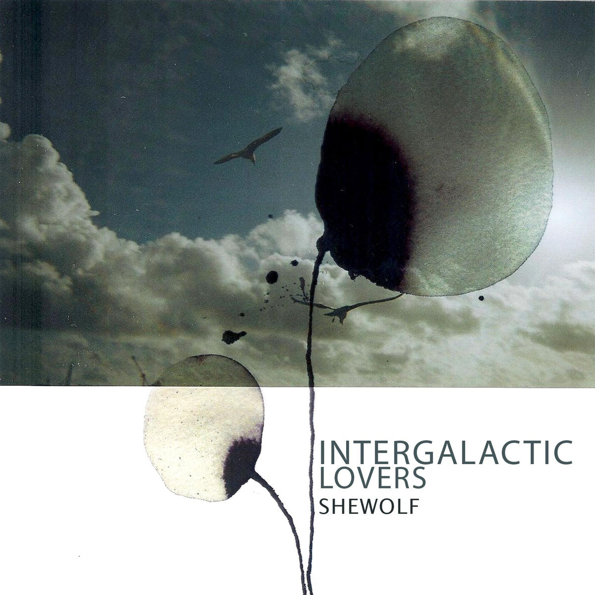Intergalactic Lovers — Shewolf cover artwork