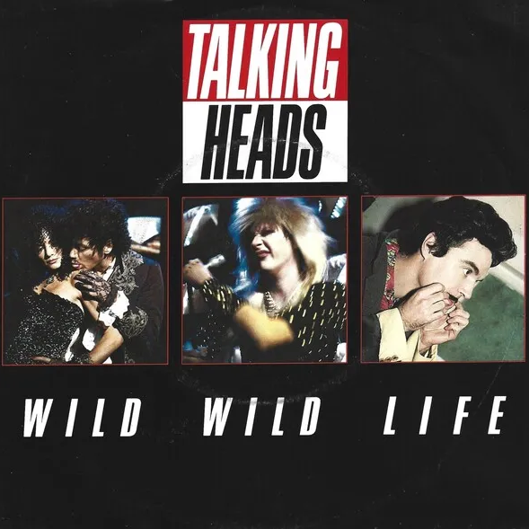 Talking Heads — Wild Wild Life cover artwork