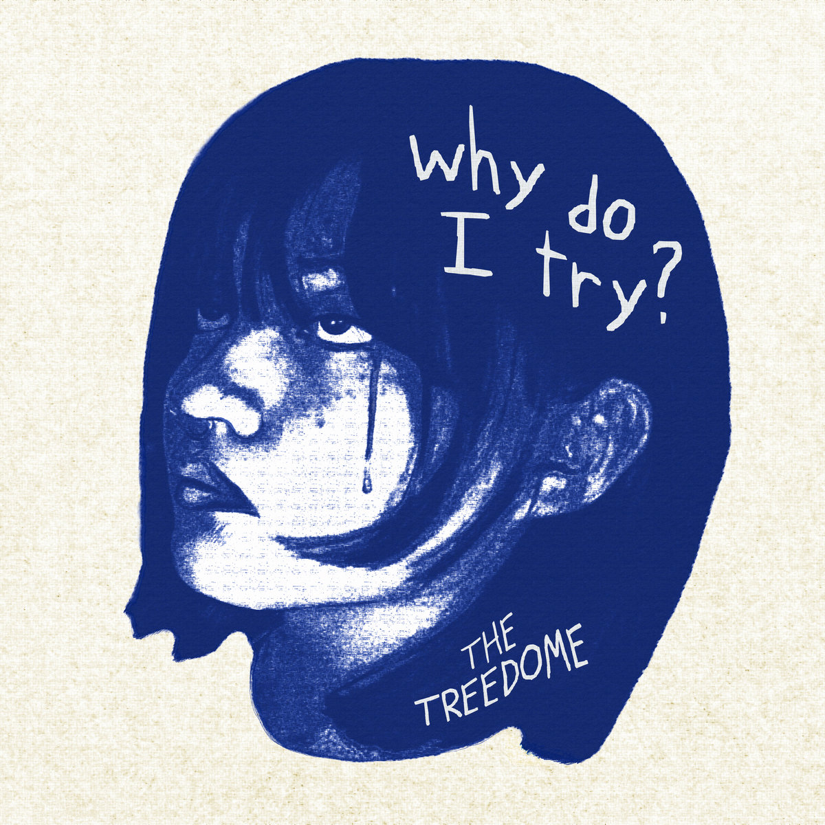 The Treedome — Why Do I Try? cover artwork
