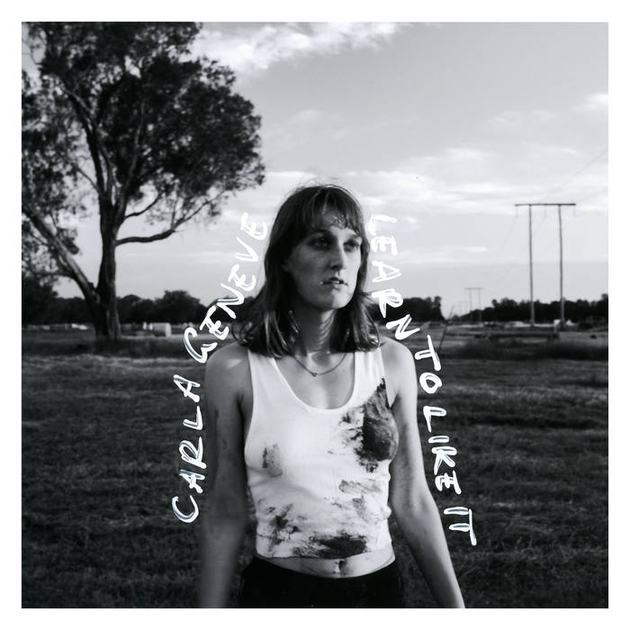 Carla Geneve The Right Reasons cover artwork
