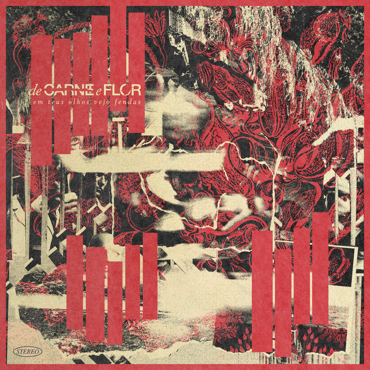 De Carne e Flor — Em Teus Olhos Vejo Fendas cover artwork