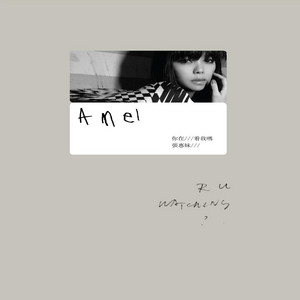 張惠妹 你在看我嗎 cover artwork