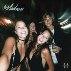 Ariis — This Madness cover artwork