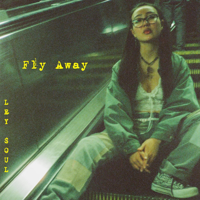 Ley Soul — Fly Away cover artwork