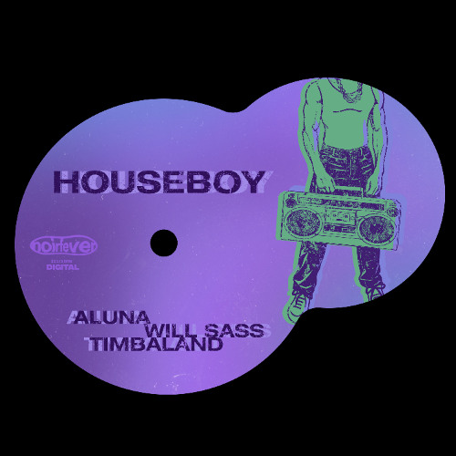 Aluna featuring Will Sass — Houseboy cover artwork