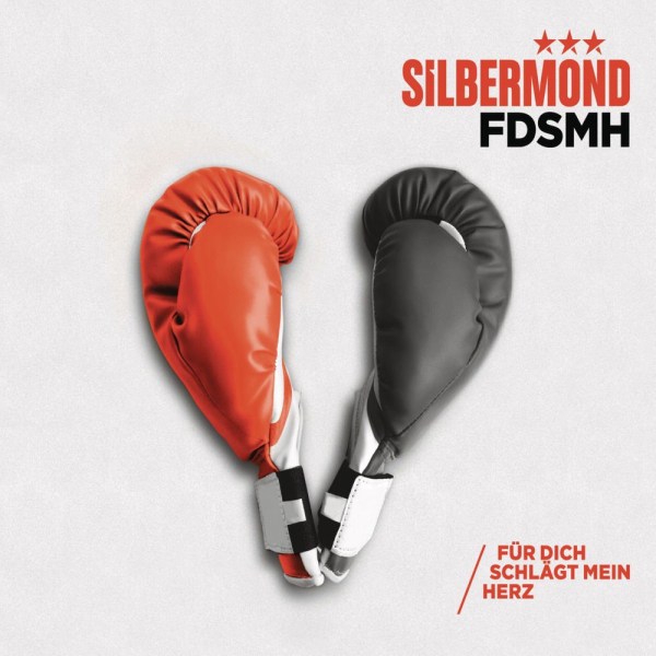 Silbermond FDSMH - Für dich schlägt mein Herz cover artwork