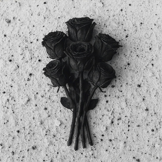 Normandie — Mayday cover artwork
