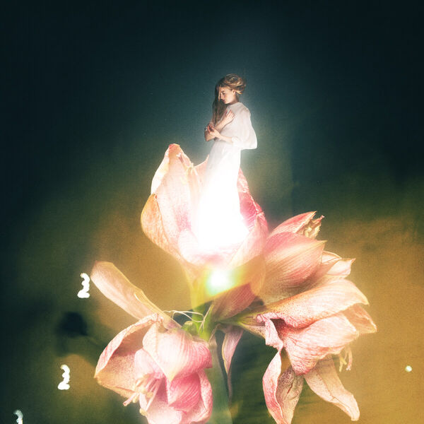 Amalie Holt Kleive Livredd for livet cover artwork