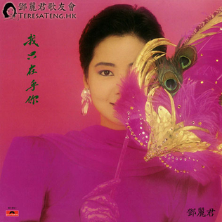 鄧麗君 非龍非彲 cover artwork