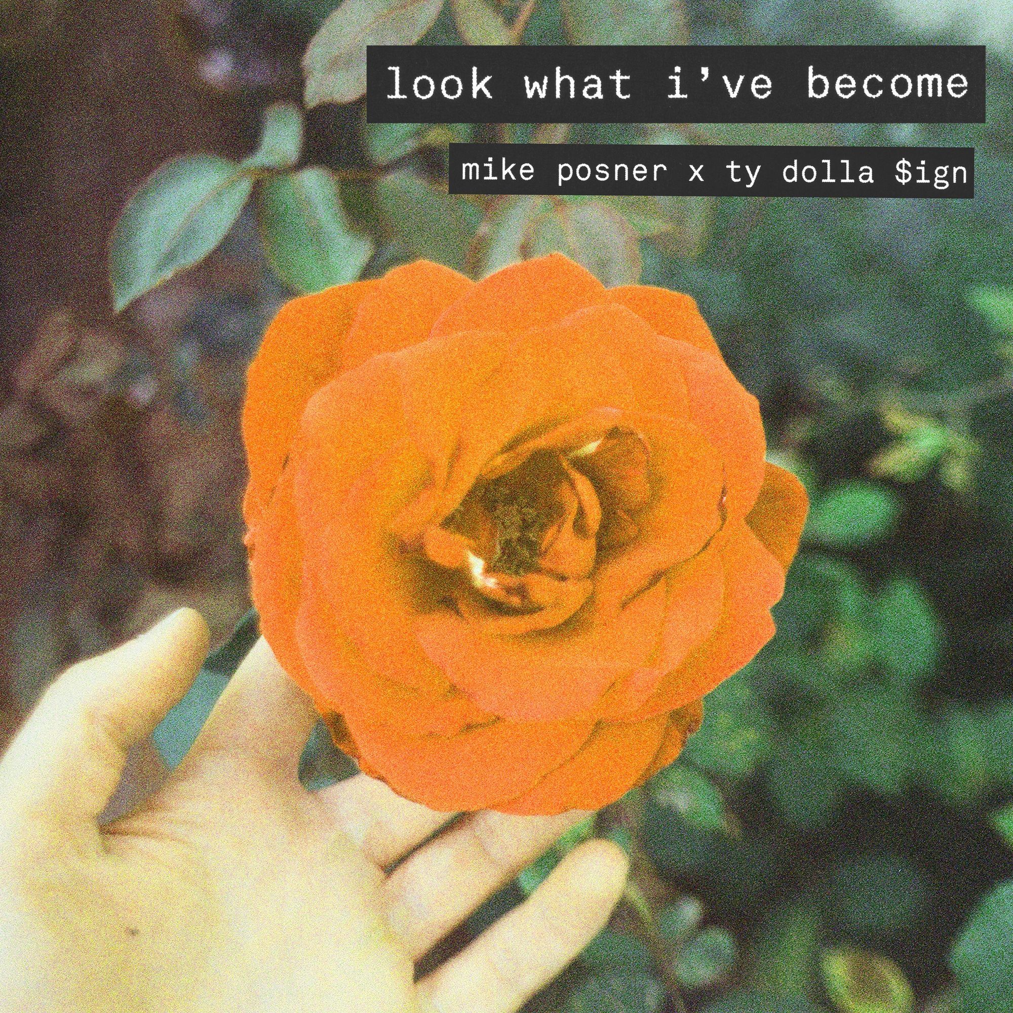 Mike Posner featuring Ty Dolla $ign — Look What I've Become cover artwork