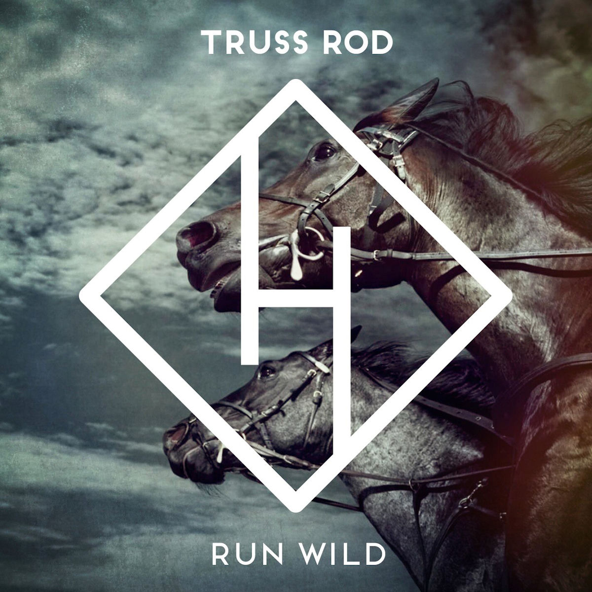 Truss Rod Run Wild (DeepRock Radio Edit) cover artwork