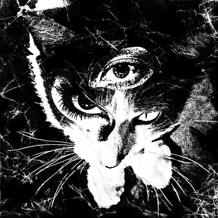 東京酒吐座 — Wisteria cover artwork