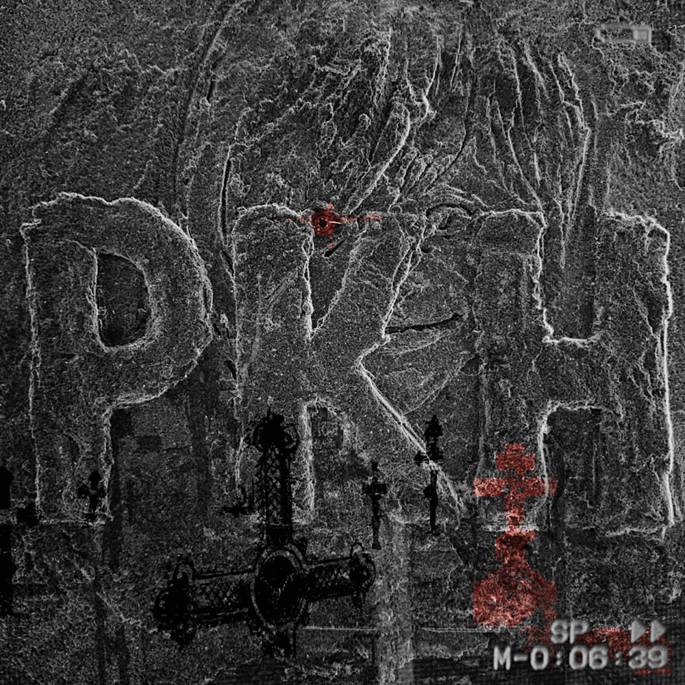 Слава КПСС & pyrokinesis — РКН cover artwork