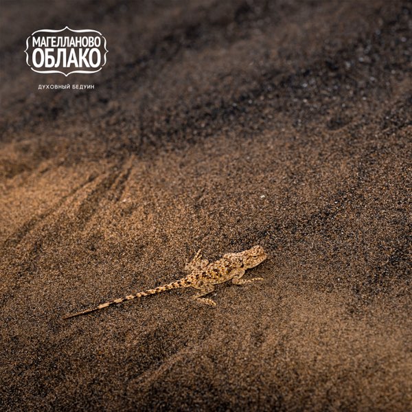 Магелланово Облако Духовный Бедуин cover artwork