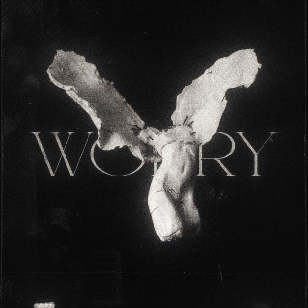LONOWN & riserayss — worry cover artwork