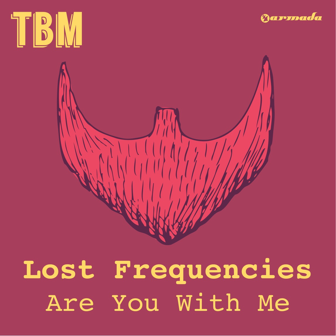 Lost Frequencies — Are You With Me cover artwork