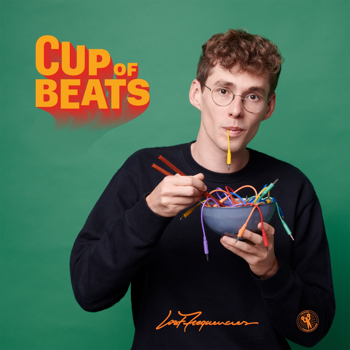 Lost Frequencies & Mathieu Koss — Don't Leave Me Now cover artwork