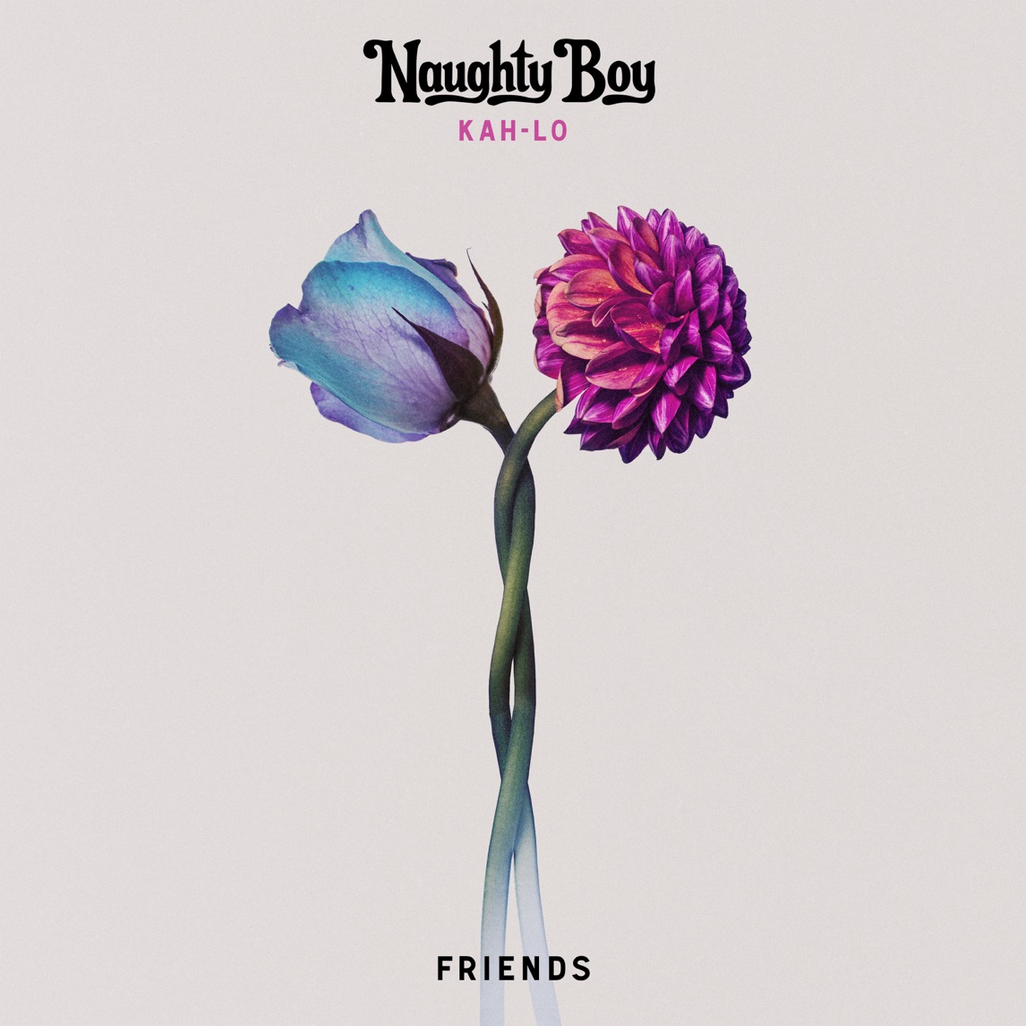 Naughty Boy & Kah-Lo — Friends cover artwork
