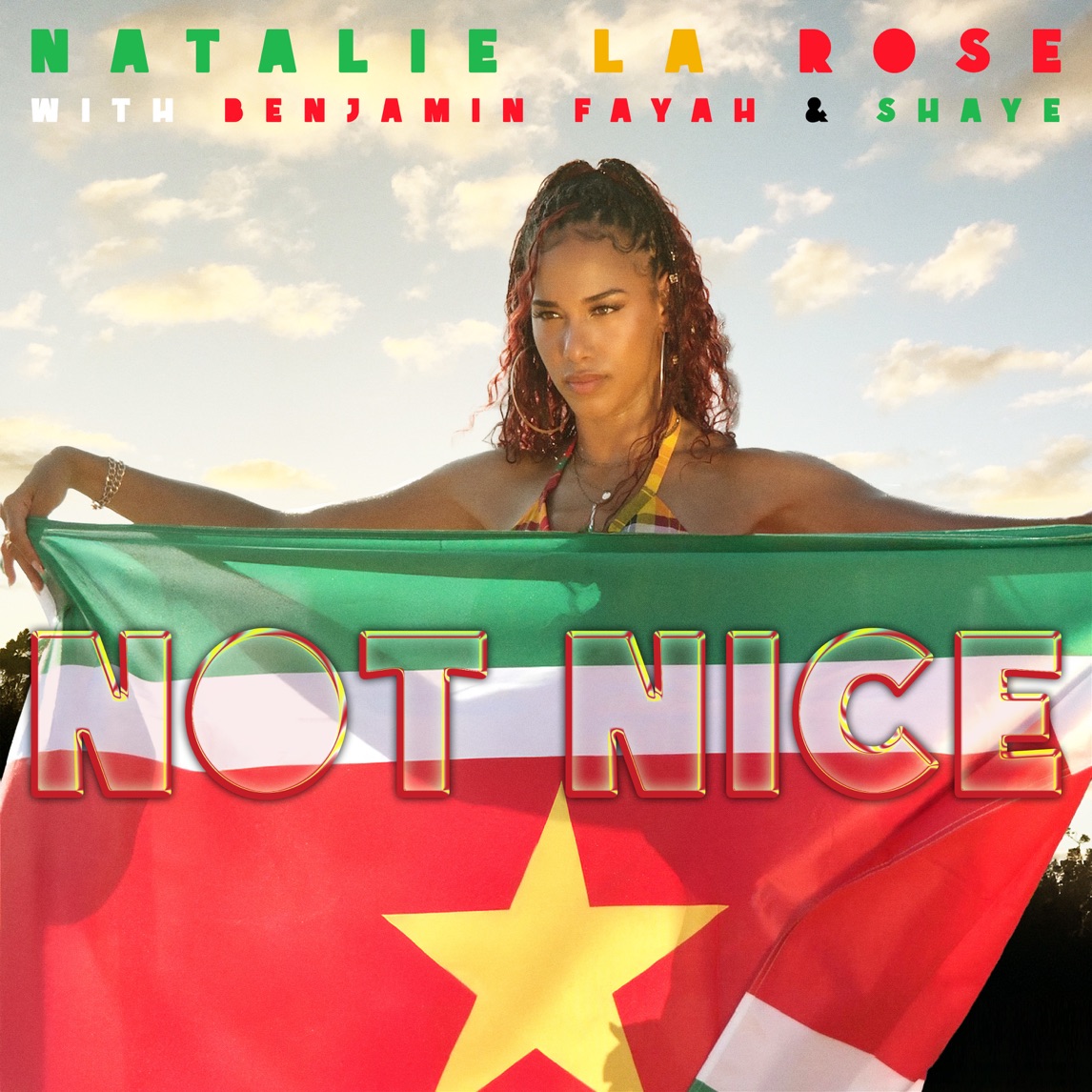 Natalie La Rose, Benjamin Fayah, & Shaye — NOT NICE cover artwork