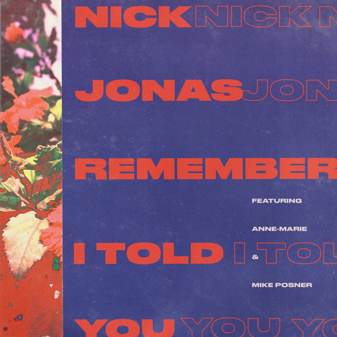 Nick Jonas featuring Anne-Marie & Mike Posner — Remember I Told You cover artwork