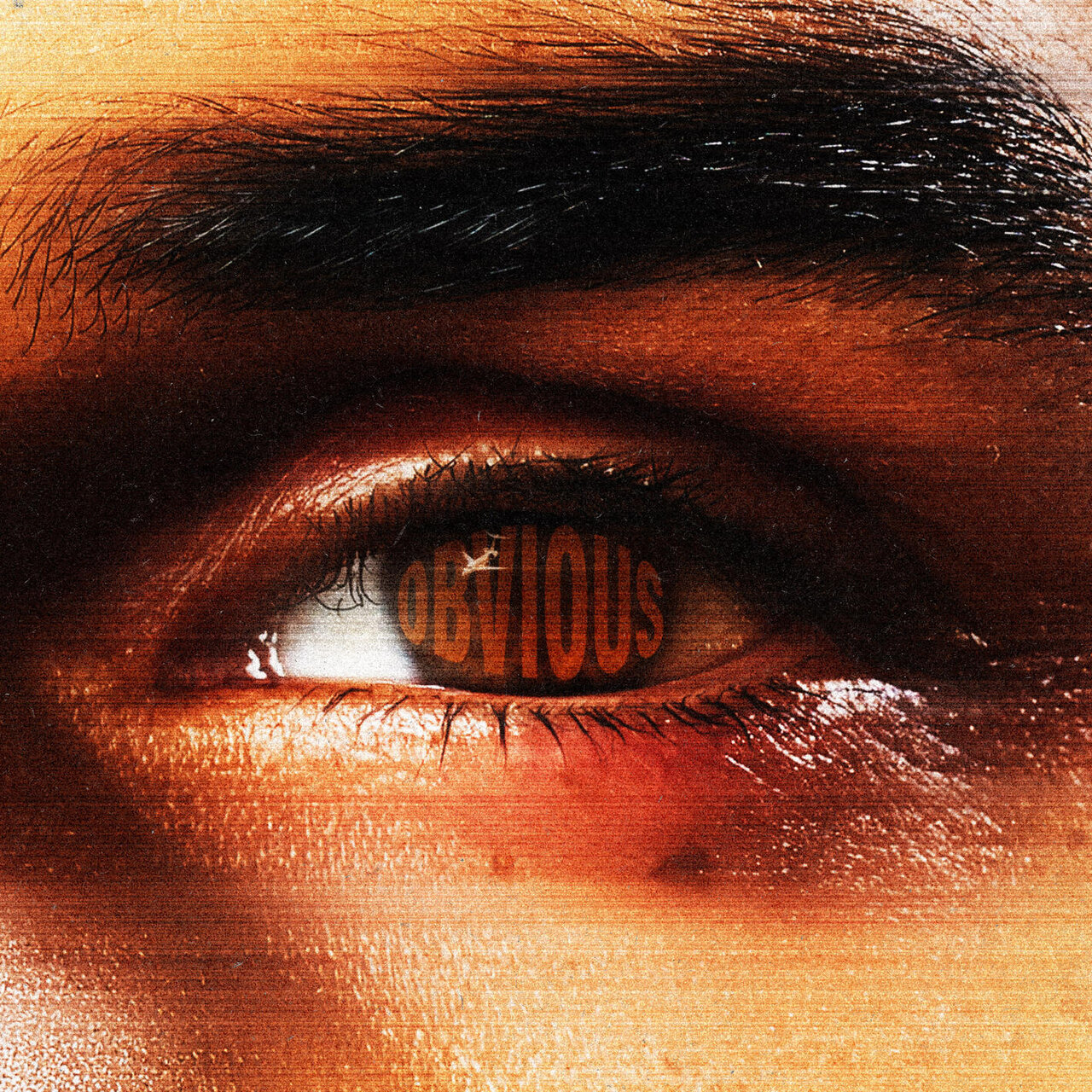Chris Brown — Obvious cover artwork