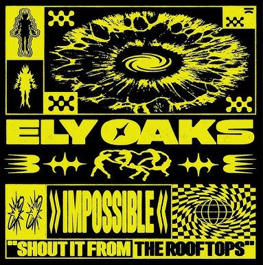 Ely Oaks — Impossible cover artwork