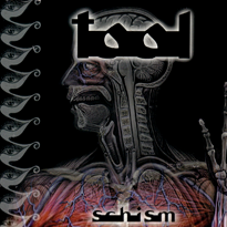 TOOL — Schism cover artwork