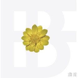 Boyfriend When You Smile cover artwork