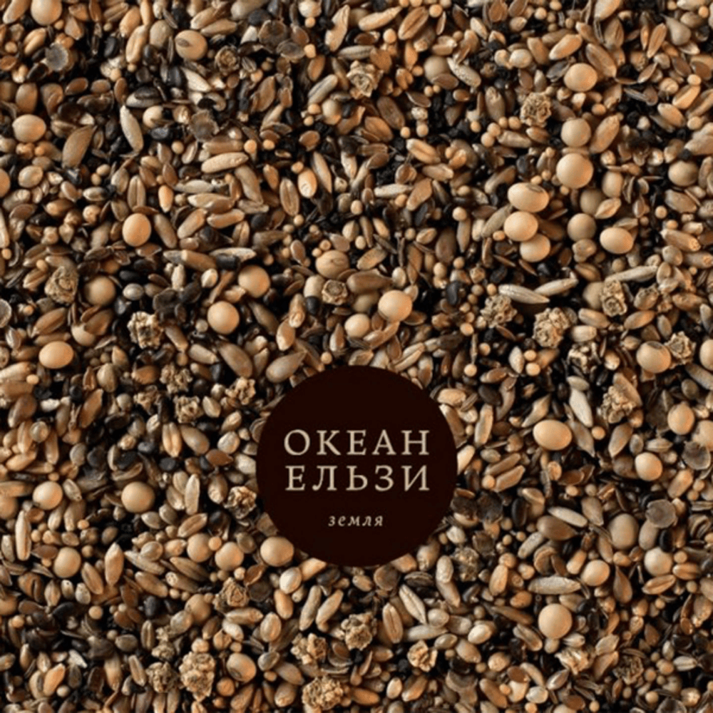 Океан Ельзи Земля cover artwork