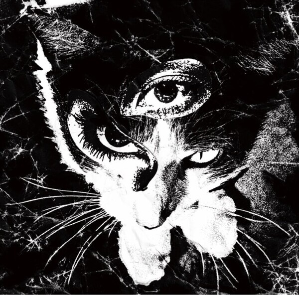 Tokyo Shoegazer Remains cover artwork