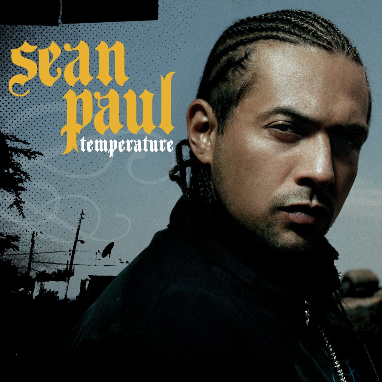 Sean Paul — Temperature cover artwork
