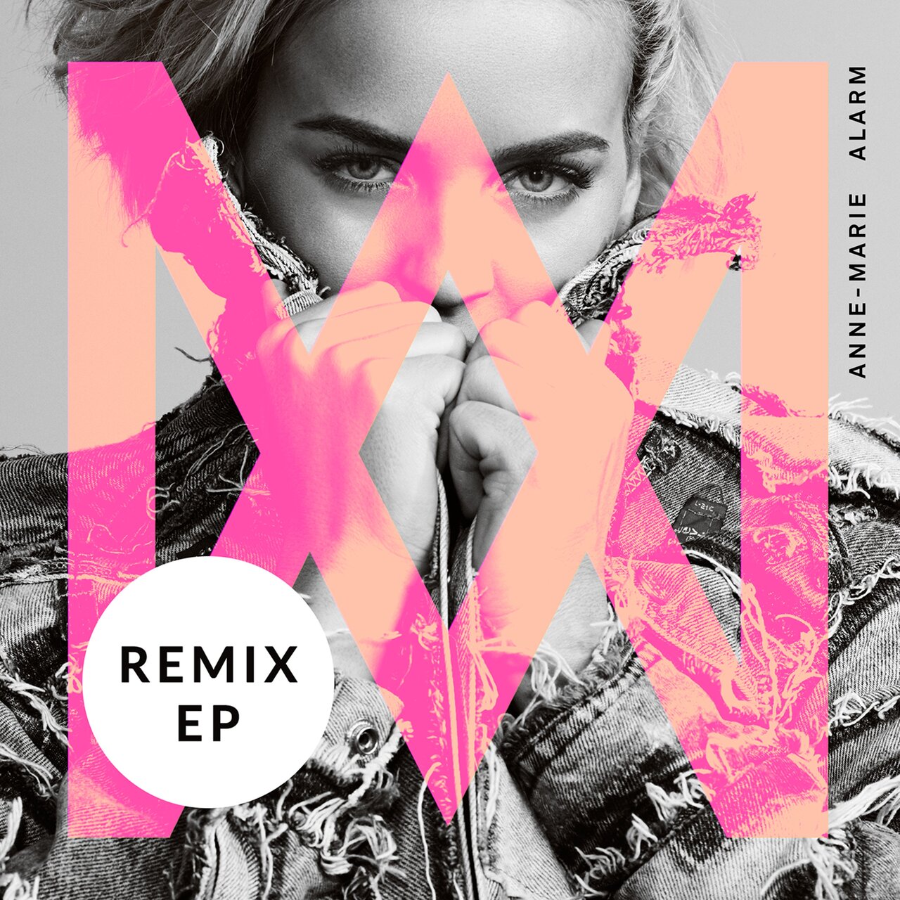 Anne-Marie — Alarm (TroyBoi Remix) cover artwork