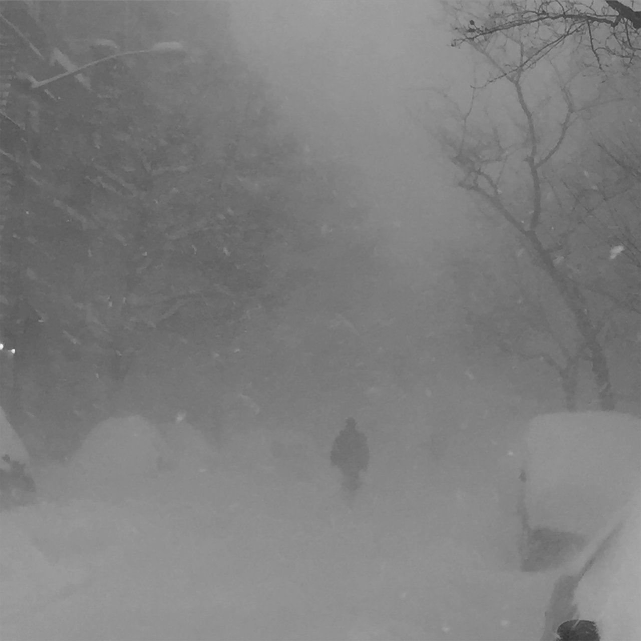 Cashmere Cat featuring The Weeknd & Francis &amp; the Lights — Wild Love cover artwork