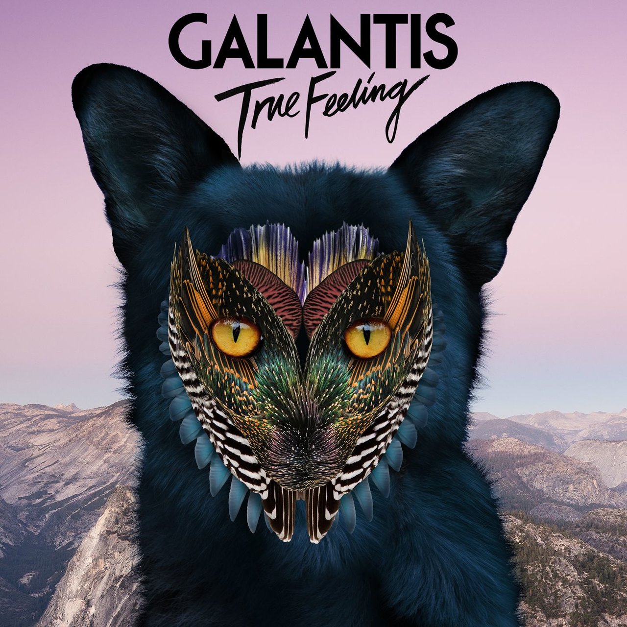 Galantis — True Feeling cover artwork