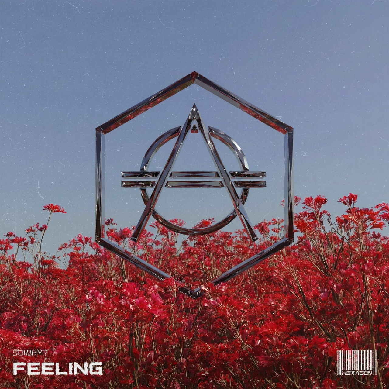 SoWhy? — Feeling cover artwork