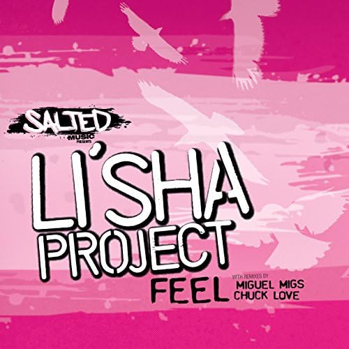 Li'sha Project Feel (Miguel Migs Salted Petalpusher Vocal) cover artwork