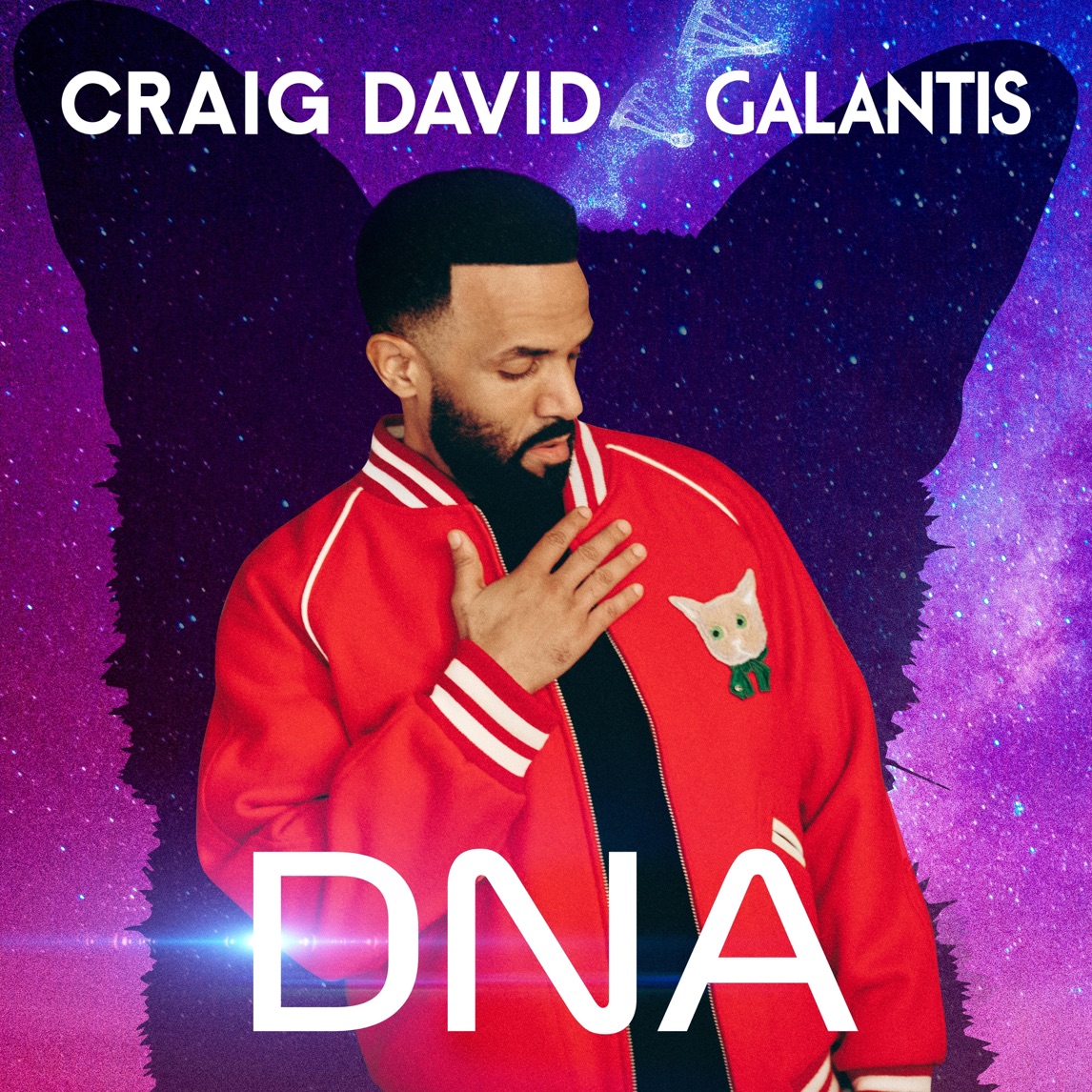 Craig David & Galantis — DNA cover artwork