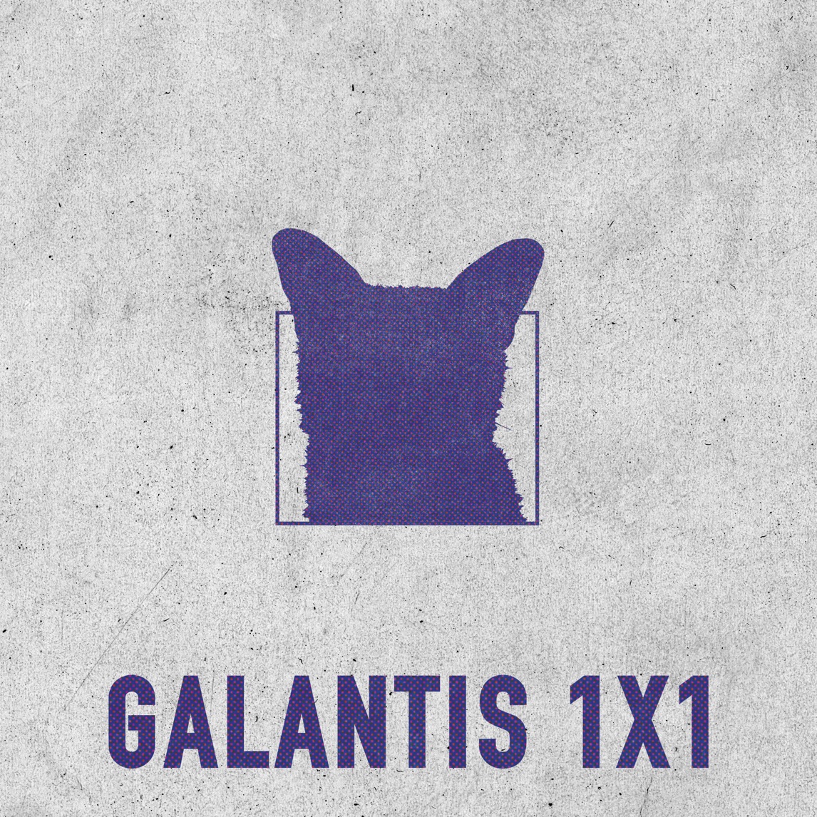 Galantis — 1x1 cover artwork