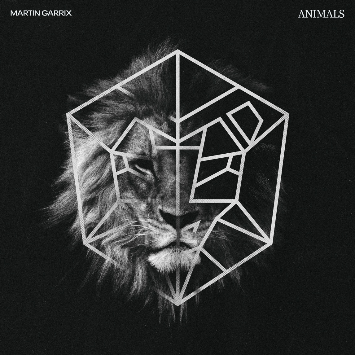Martin Garrix — Animals cover artwork