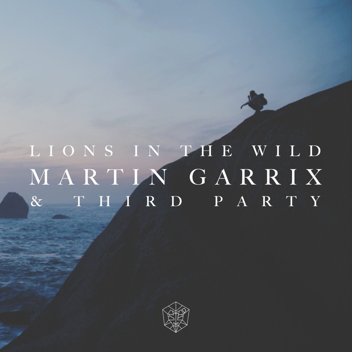 Martin Garrix & Third Party — Lions in the Wild cover artwork