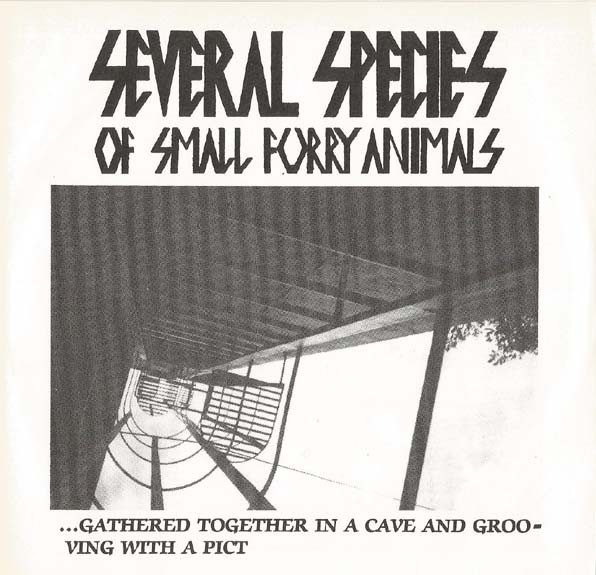 Pink Floyd Several Species of Small Furry Animals Gathered Together in a Cave and Grooving with a Pict cover artwork