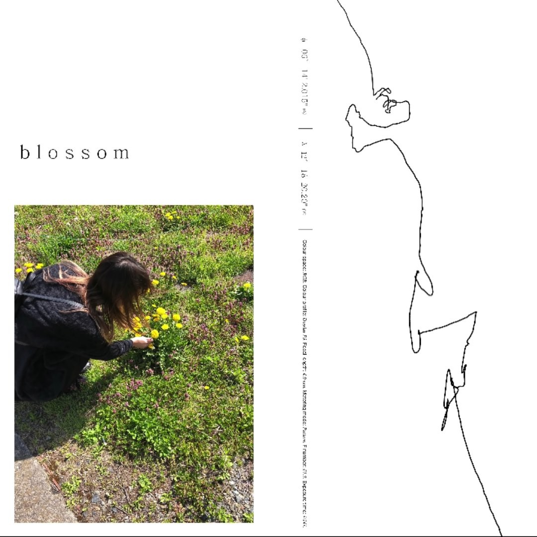 Porter Robinson — Blossom cover artwork