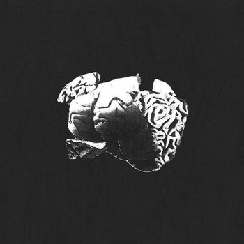 A Thousand Mad Things — Truth You Seek cover artwork