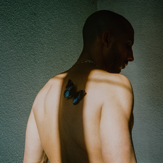 Willem Man In Nood cover artwork