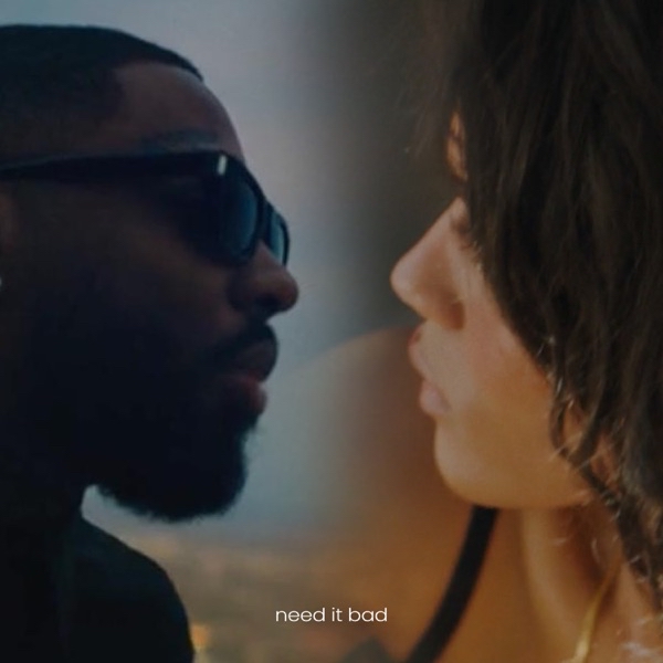 Ama ft. featuring Brent Faiyaz Need It Bad cover artwork